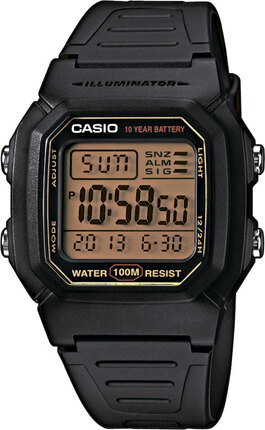 Часы Casio TIMELESS COLLECTION W-800HG-9AVEF