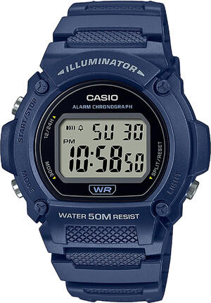 Часы Casio TIMELESS COLLECTION W-219H-2AVEF