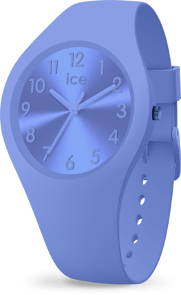 Часы Ice-Watch 017913