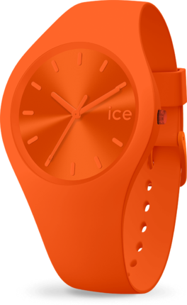 Часы Ice-Watch 017911