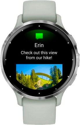 Смарт-часы Garmin Venu 3S Silver Stainless Steel Bezel with Sage Gray Case and Silicone Band (010-02785-01)