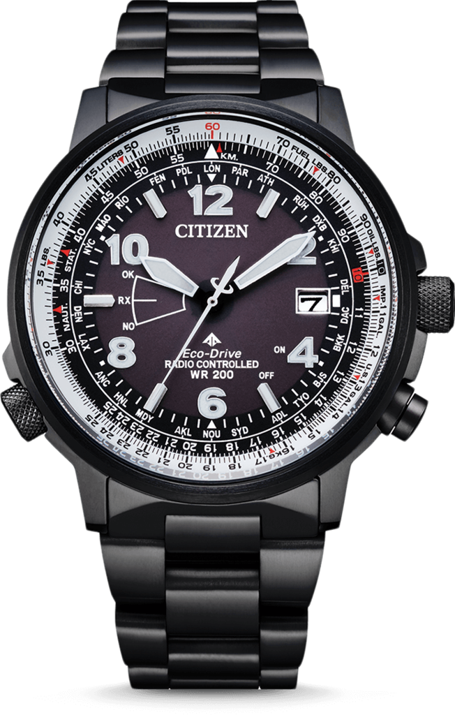 

Часы CITIZEN CB0245-84E, CB0245-84E