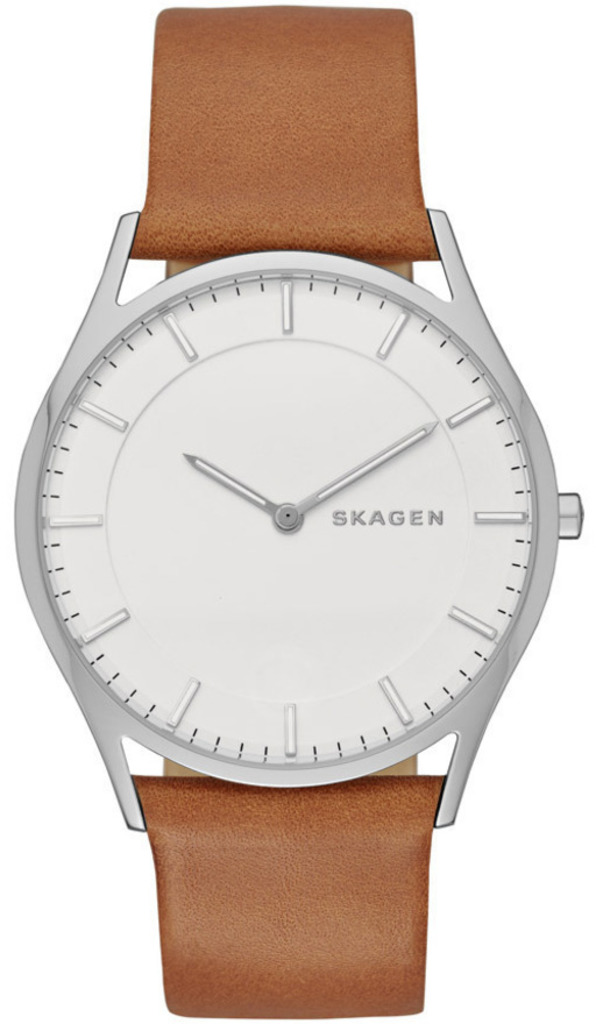 

Часы SKAGEN SKW6219, SKW6219