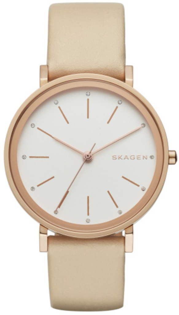 

Часы SKAGEN SKW2489, SKW2489