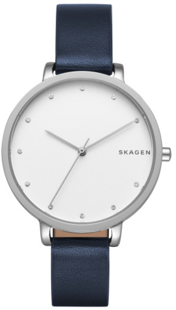 

Часы SKAGEN SKW2581, SKW2581
