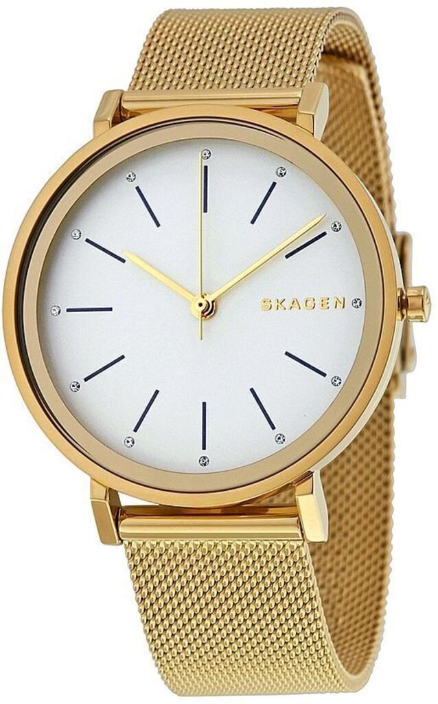 

Часы SKAGEN SKW2509, SKW2509