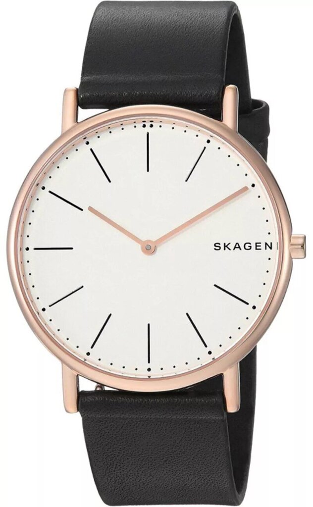 

Часы SKAGEN SKW6430, SKW6430