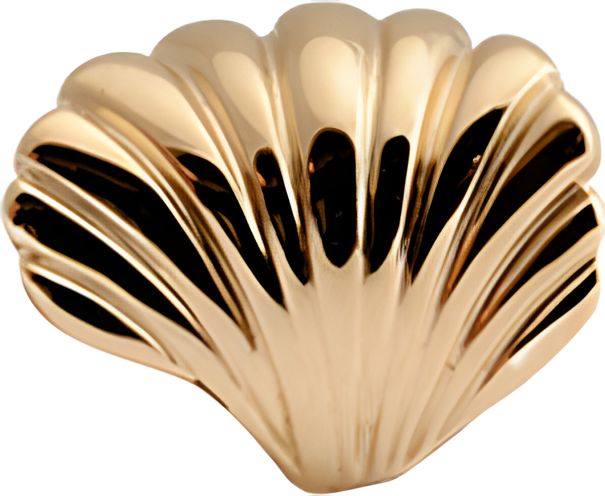 

Шарм CC - Shell 630-G40, Shell