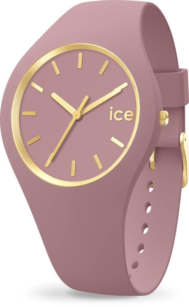 

Часы Ice-Watch Fall rose 019529, 019529